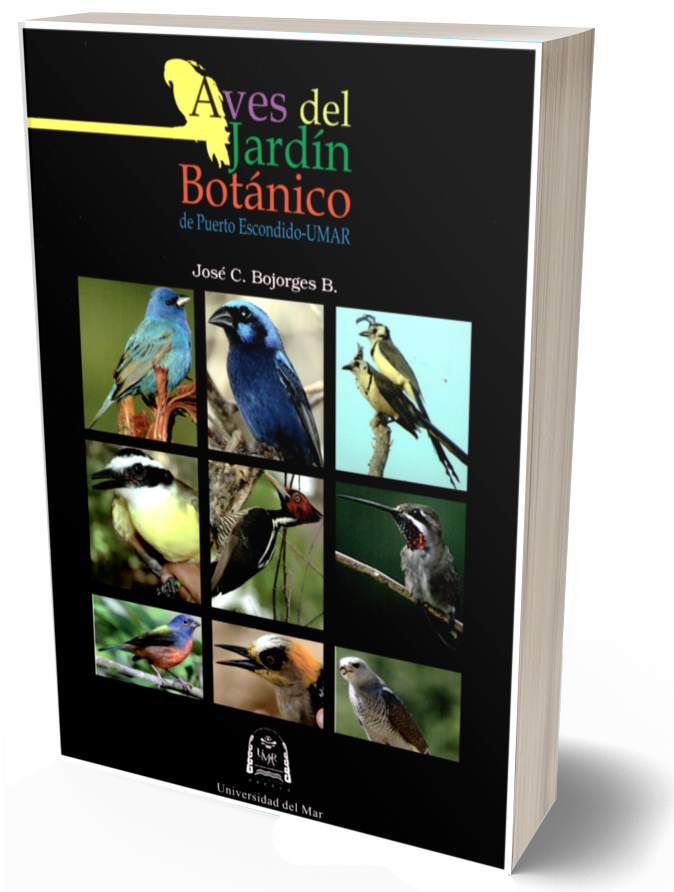 Aves del jardín botánico de Puerto Escondido-UMAR